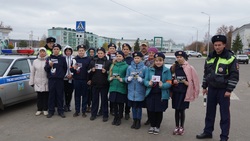 Школьники Вейделевского района приняли участие в акции по соблюдению ПДД