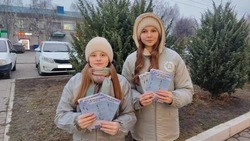 Вейделевские волонтёры провели акцию «Внимание, гололёд!!!»
