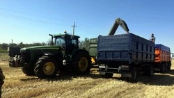 Уборочная кампания началась в Вейделевском районе