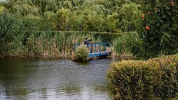 Александр Алексеев сообщил о планах очистки реки в селе Белый Колодезь в 2023 году