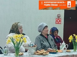 Встречи с детьми войны и тружениками тыла прошли в Закутчанском сельском поселении