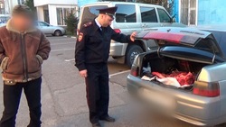 Житель Шебекинского района попытался провезти тушу незаконно добытого оленя