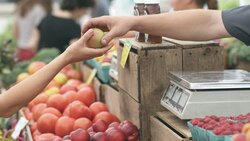 Вейделевские предприниматели смогут подать заявки на конкурс «Торговля России»