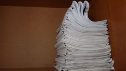 Постановление администрации Вейделевского района  от 17 июня 2025 года №172