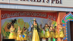 Жители Вейделевского района посетят праздник мёда
