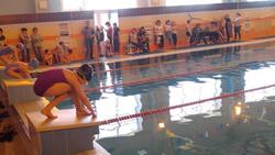 Вейделевские пловцы выступили на турнире в Ровеньках