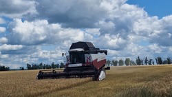Труженики акционерного общества «Должанское» Вейделевского района начали уборку зерновых 12 июля
