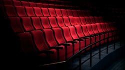 Белгородцы смогут увидеть фильмы о СВО в обновлённых кинотеатрах