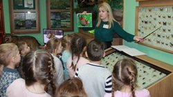 Воспитанники детского сада узнали в музее о бабочках Вейделевского района