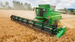 Белгородские аграрии убрали более 5 тыс. гектаров ранних зерновых культур