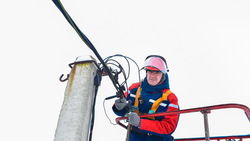 Белгородские энергетики модернизировали сети в 30 населённых пунктах региона