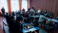 Команда вейделевских шахматистов победила на турнире