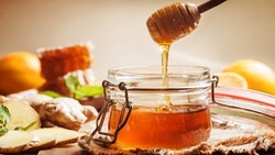 Пчеловоды Белгородской области приступили к подсчёту урожая мёда