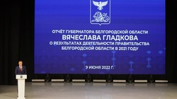 Депутат Белгородской областной Думы прокомментировал отчёт губернатора региона