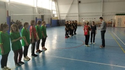 Команды школ Вейделевского района по волейболу выступили на первенстве муниципалитета