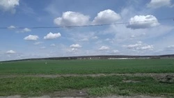 Белгородский Росреестр напомнил жителям региона о признаках неиспользования земельных участков