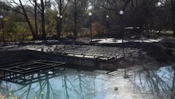 Проект благоустройства родника «Крейдянка» в посёлке Вейделевка вышел на финальную стадию