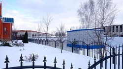 Белгородэнерго обеспечило электроснабжение ЦКР в Алексеевском городском округе
