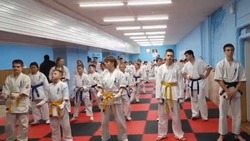 Каратисты Белгородской области стали участниками учебно-тренировочных сборов в Вейделевке