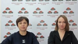 Руководитель Вейделевского района объявила дату проведения праздничного концерта