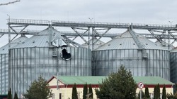 Вячеслав Гладков – о вступлении ещё пяти предприятий белгородского приграничья в СЭЗ