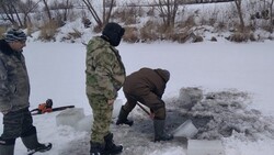 Вейделевцы предприняли меры по спасению рыбы в пруду «Кочерёженский»