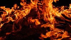 Пожар унёс жизни троих вейделевцев