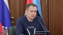 Вячеслав Гладков поручил подготовить пляжи региона к купальному сезону