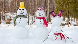 Вейделевский центр ремёсел пригласил земляков принять участие во флешмобе снеговиков