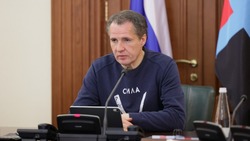 Вячеслав Гладков поручил устранить все выявленные в учреждениях образования дефекты