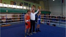 Вейделевские спортсмены приняли участие в турнире по боксу