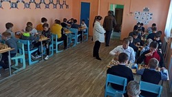 Дети Вейделевского района смогут подать заявки на участие в сессии «Шахматные каникулы»