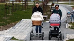 Шесть малышей родились в семьях жителей Вейделевского района в апреле