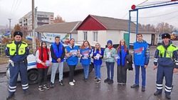 Представители молодёжи Вейделевского района приняли участие в акции «Внимание дети»