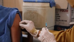 Сотрудники Вейделевской больницы подвели итоги вакцинации от коронавируса на 8 ноября