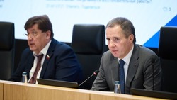 Вячеслав Гладков – о развитии туристического кластера в Холках Чернянского района 