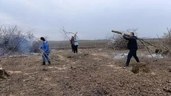 Вейделевцы провели экологический субботник 3 апреля