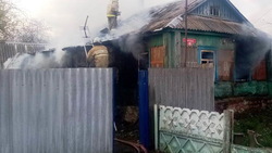Белгородские огнеборцы ликвидировали 64 пожара на прошлой неделе