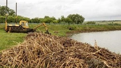 Пруд в Вейделевском районе попал в список водоёмов по реализации проекта «Наши реки»