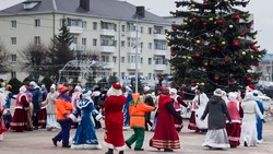 Жители и гости Вейделевки посетили предновогоднюю ярмарку 29 декабря