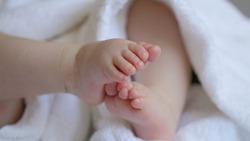 Шесть малышей родились в феврале в Вейделевском районе