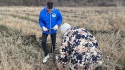 Вейделевские организации смогут принять участие в региональном конкурсе «ЭКОкомпания» 