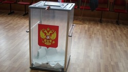 Вейделевская ТИК объявила предварительные итоги выборов Президента РФ в районе