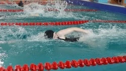 День плавания прошёл в Вейделевском муниципальном округе