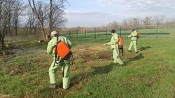 Очередные командно-штабные учения прошли в Вейделевском муниципальном округе  