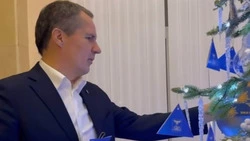 Вячеслав Гладков отметил важность организации дополнительной «Ёлки желаний» для детей участников СВО
