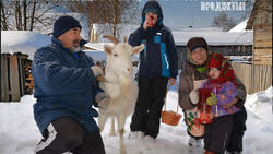Семья из Белгородской области стала лучшей в конкурсе семейного фотоплаката