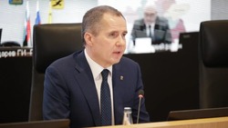 Вячеслав Гладков призвал наладить работу по оказанию соцуслуг в частных пансионатах