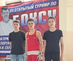 Боксёры Вейделевской спортшколы стали призёрами открытого турнира в Краснодарском крае