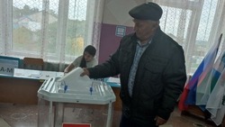 Вейделевская территориальная избирательная комиссия отметила высокую активность на выборах